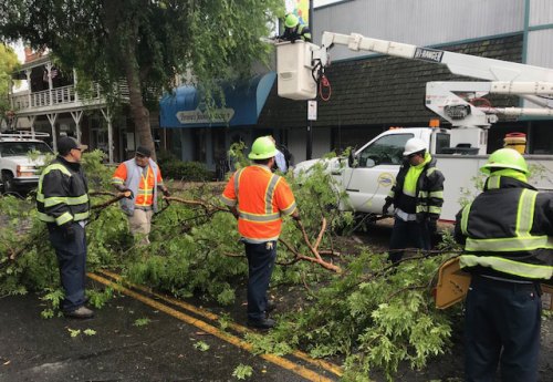 Lemoore city workers worked quickly Monday afternoon (April 16) to clear downtown D Street of a fallen tree. A significant part of a tree broke off during the storm.